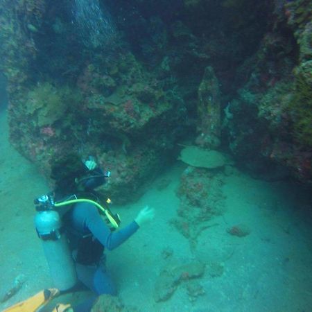 Anilao Scuba Dive Center Otel Batangas Dış mekan fotoğraf