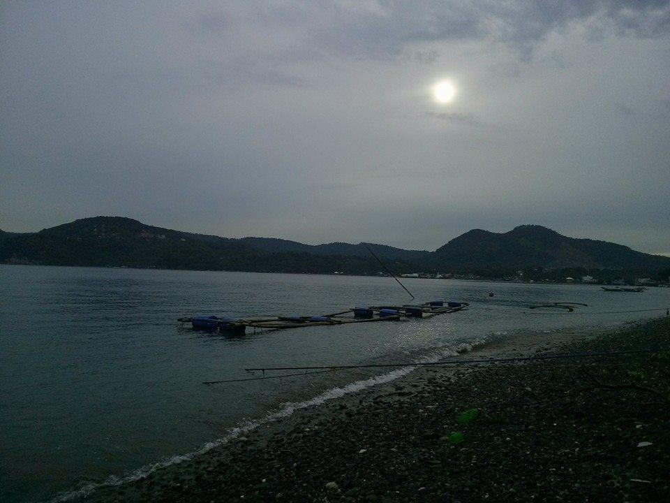 Anilao Scuba Dive Center Otel Batangas Dış mekan fotoğraf