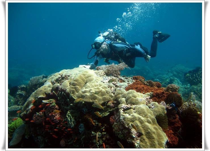 Anilao Scuba Dive Center Otel Batangas Dış mekan fotoğraf