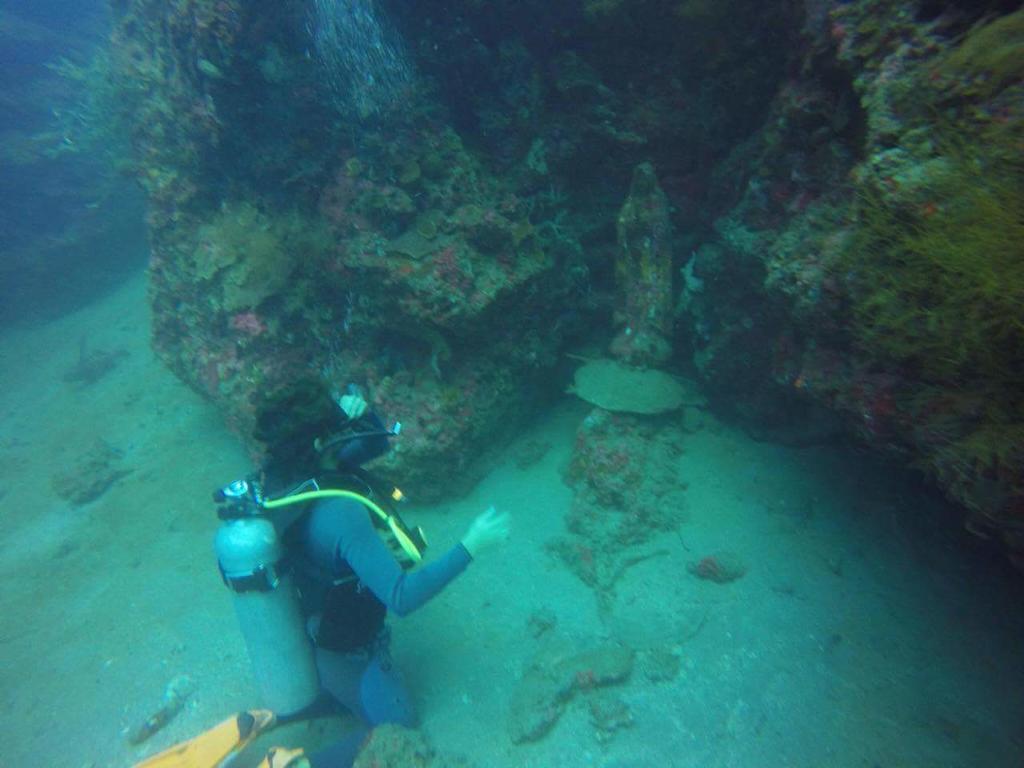 Anilao Scuba Dive Center Otel Batangas Dış mekan fotoğraf