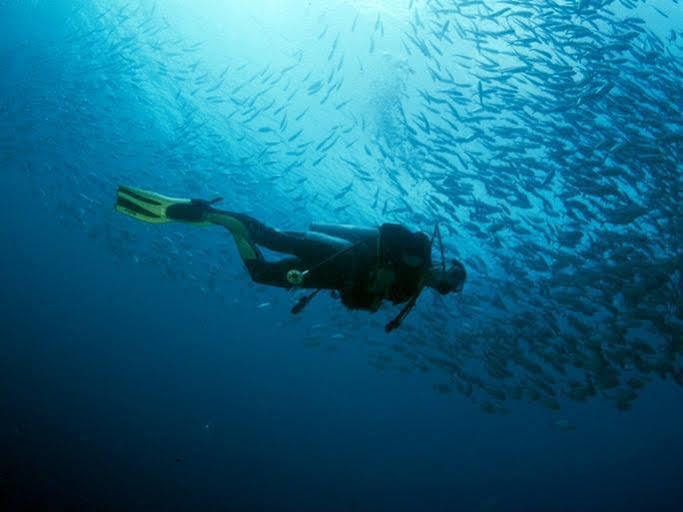 Anilao Scuba Dive Center Otel Batangas Dış mekan fotoğraf